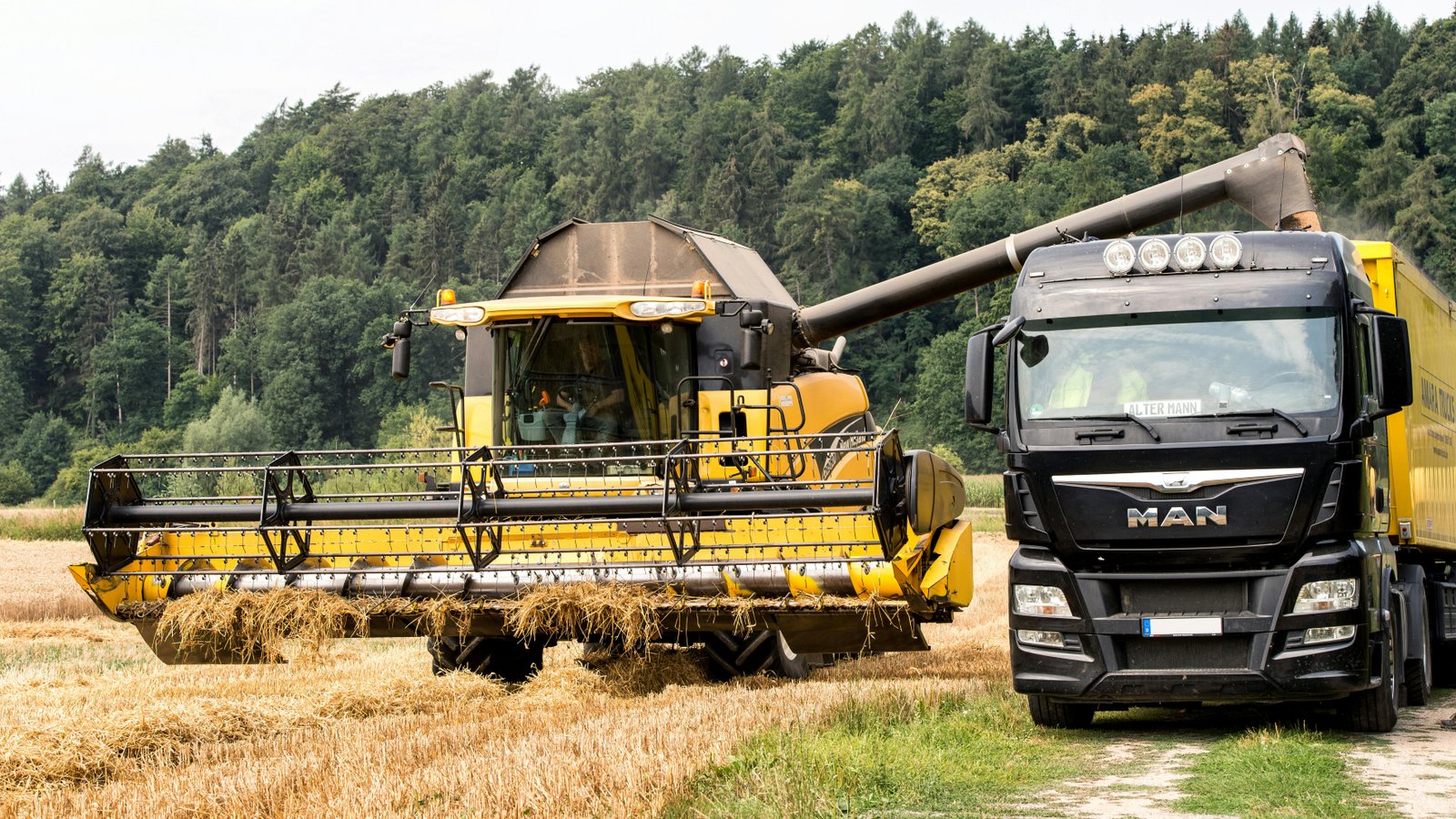 Agriculture Industry